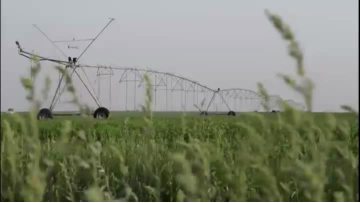 center pivot irrigation system1.mp4
