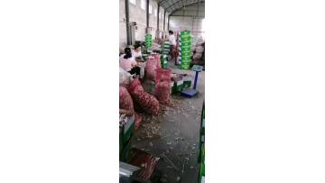 2021 normal garlic 10kg carton