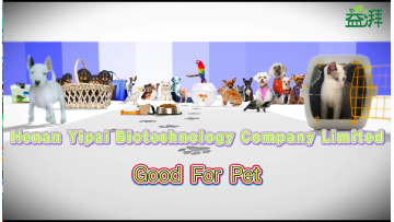 Introduction to Henan Yipai Biotechnology Co., Ltd.