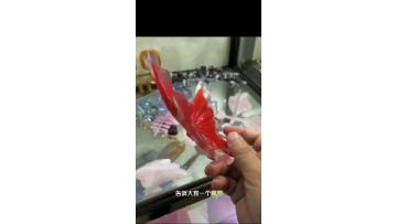 Injection molded plastic Butterfly toy