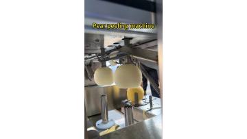 Pear peeling machine Apple peeler