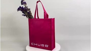 Non Woven Shopping Bag