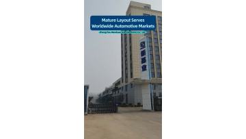 Strict Quality for Automotive Applications