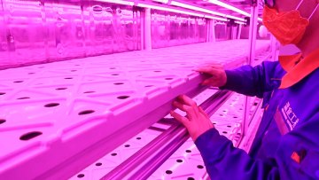 40 feet shipping farming container greenhouse farm green house grow room1