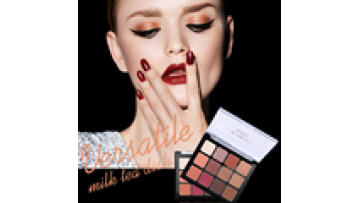customized logo eyeshadow pallet 12 Color eye shadow pallet customize eye shadow palette1