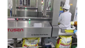  Heat Sealing Machine TS100-CQ