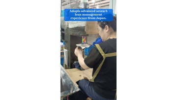 Video 15