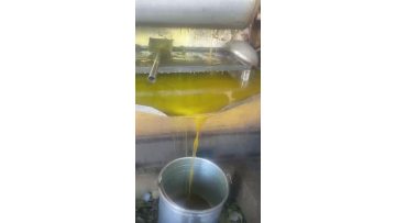 120 pressed vegetable seeds