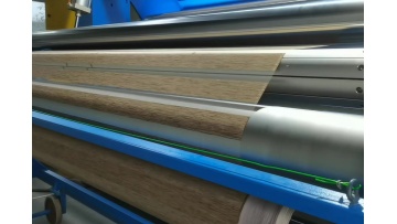Double roller lien -2