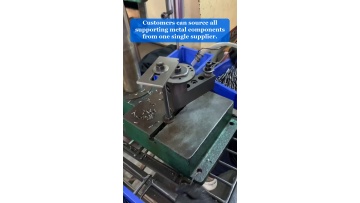 Video 3