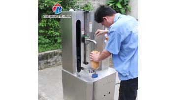 TS-P60XS Commercial Automatic Papaya Peeling Machine