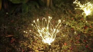 solar Dandelion Lamp 