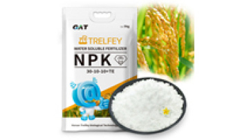 China Nitrogen Phosphorus Potassium NPK Fertilizer 30-10-10+Te Manufacturers1