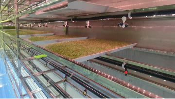 Interior video of the forage container 6