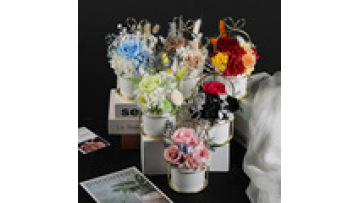 2024 Popular Infinity Decorative Preserved Rose Bouquet in Vase1