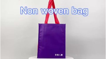 Non Woven Shopping Bag