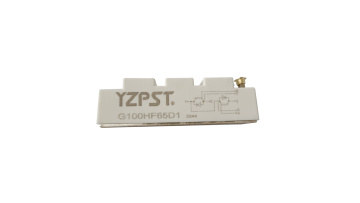 IGBT Module G100HF65D1