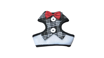 dog harness and leash