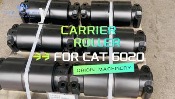 ORIGIN CARRIER ROLLER