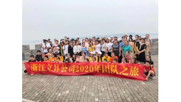 Whole company team group are traveling twice every year