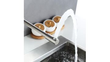 Spray Kitchen Faucet - DL-12032LS