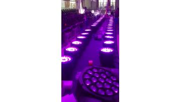 24x10w 4in1 LED Par Light