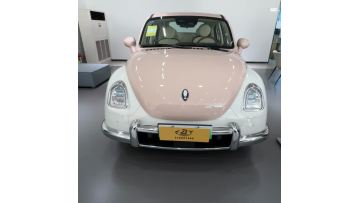 Elegant Pure Electric Ora Ballet Cat