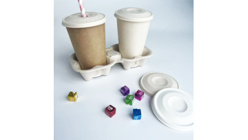 Hot sale bagasse lid