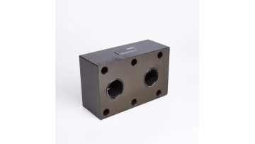 RVP30 Check valve