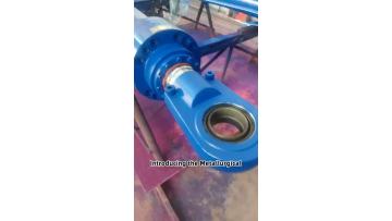 180 110-2000 Metallurgical Steel Ladle Lifting High Temperature Resistant Hydraulic Valve Group Displacement Sensor Hydraulic Cylinder