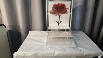 Cosmetic display 03