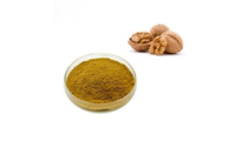Youth Wholesale EU Organic Black Walnut Hull Walnut Shell Powder1