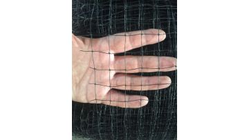 Anti bird net