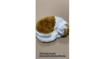 Emulation Sleeping Breathing Cute Cat Toy with Snore Sound.mp4