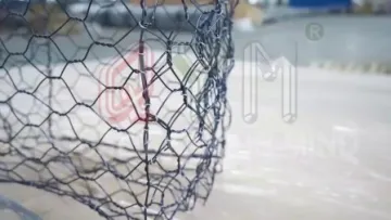 Hexagonal wire mesh 01