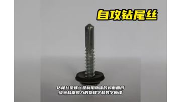 truss head self drilling screw