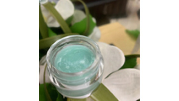Lip Care Cream 10 g Custom Private Label Children Organic Mint Lip Blam For Moisturizing,removing dead skin,toning fine lines1