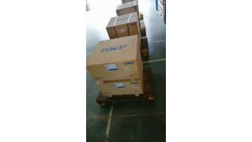 SKF bearing delivery