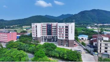 Company Profile