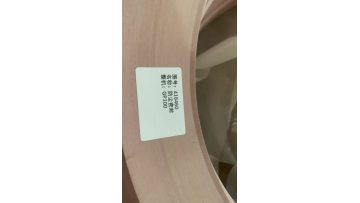 418460 seal for GP100
