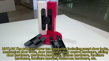 Concealed hinge2