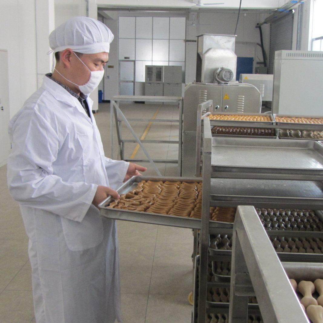 Jiangxi Welton Pet Products Co., Ltd.