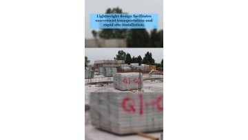 Video 31
