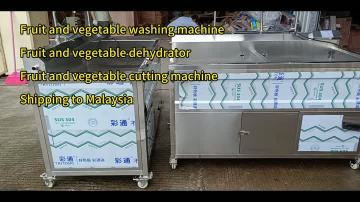 Fruit and vegetable washing machine, fruit and vegetable dehydrator, fruit and vegetable cutting machine shipped to Malaysia