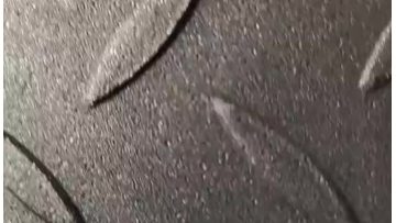 floor scale video mp4