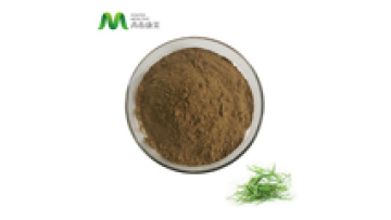 High Quality Plant Extract Powder 70% Silica Bamboo Leaf Extract For Skin1