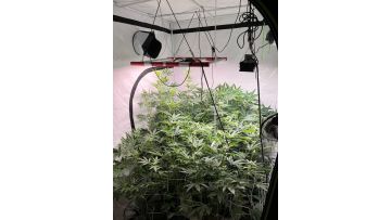 240w led grow light 