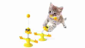 cat toy video