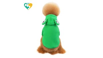 dog hoodie custom