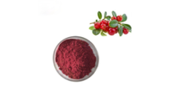 China Manufacture Proanthocyanidin Cranberry Fruit Extract Powder1